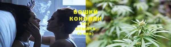 ALPHA PVP Вяземский