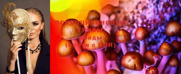 эйфоретик Вязьма
