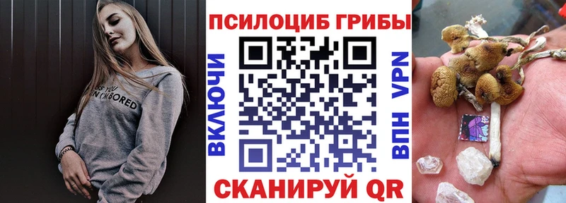 Галлюциногенные грибы Cubensis  Купить закладки  Собинка 